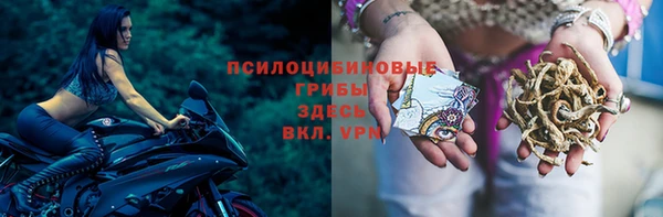 прущие грибы Лихославль