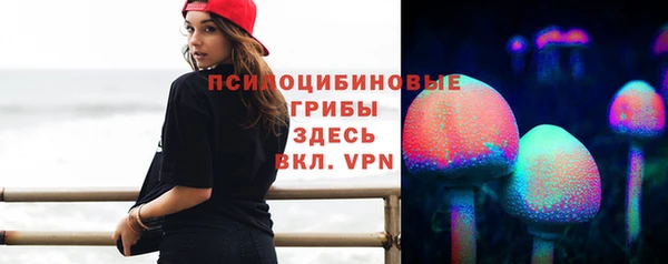 прущие грибы Лихославль