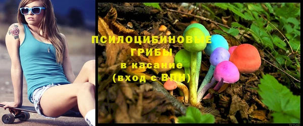 прущие грибы Лихославль