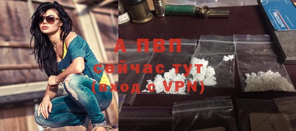 прущие грибы Лихославль